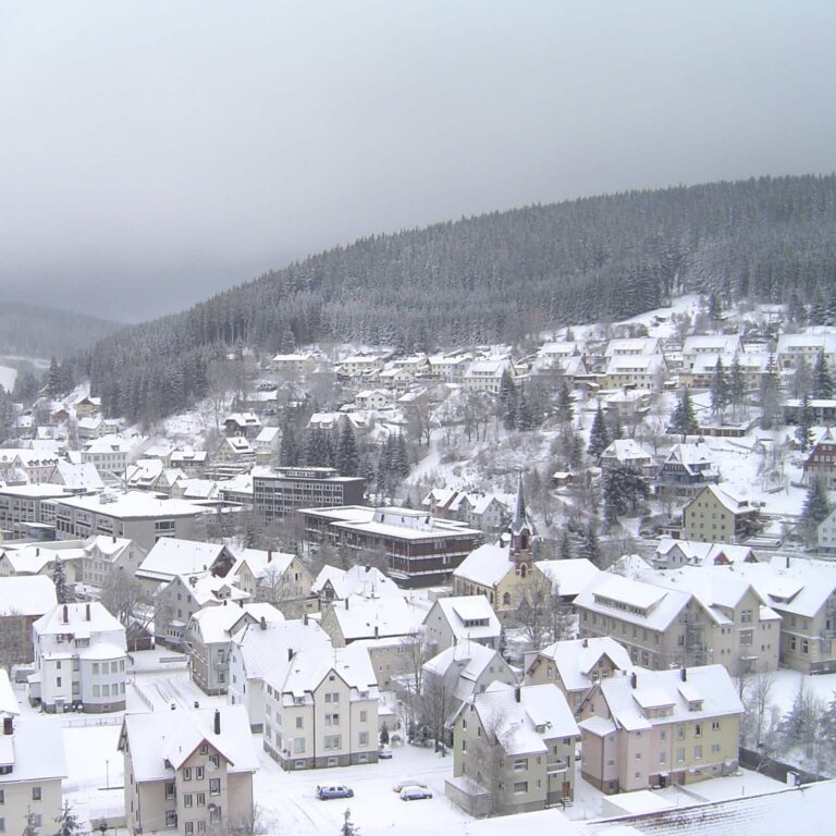 158  Furtwangen im Schwarzwald  Cropped  2 768x768