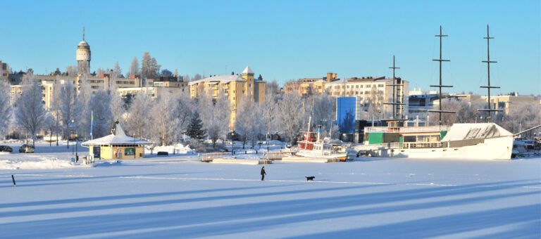 South Eastern Finland University of Applied Sciences XAMK Mikkeli Winter 768x340