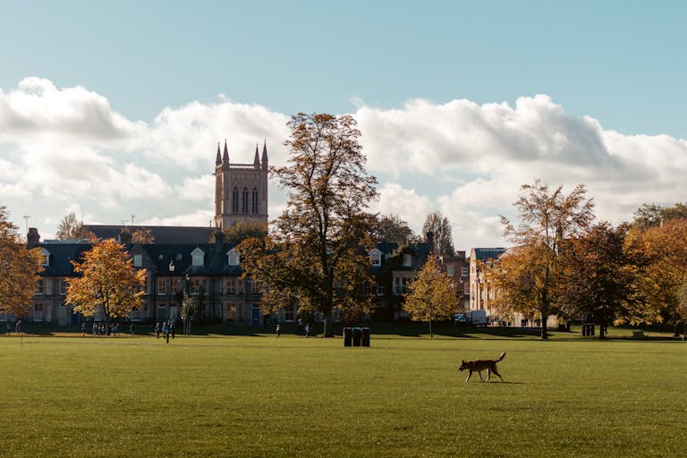 Best Universities in the UK for International Students